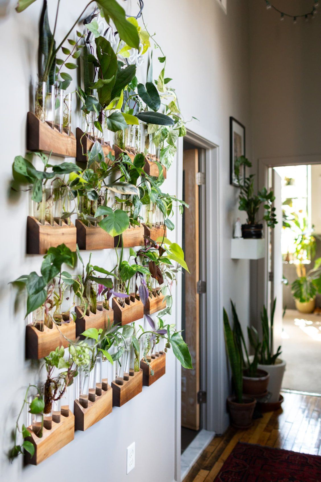 déco en plantes murales